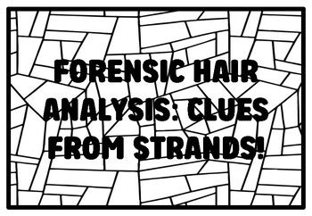 FORENSIC HAIR ANALYSIS CLUES FROM STRANDS High School Forensic