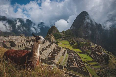 Fun Facts About Peru You Never Knew The Planet D