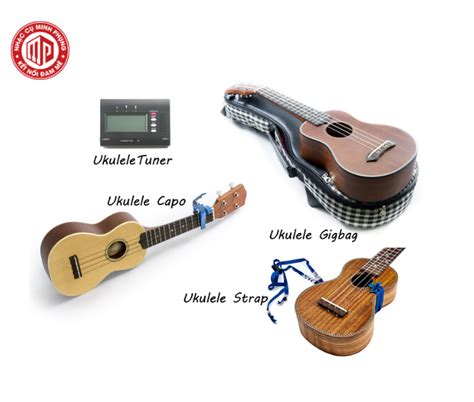 Vị trí các nốt nhạc trên đàn Guitar và cách ghi nhớ vị trí các nốt nhạc