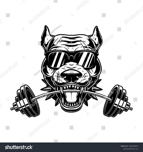 192 Angry Dog Bodybuilder Images Stock Photos And Vectors Shutterstock