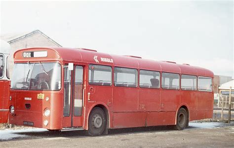 Ribble Ms Arn B Ribble Ms Leyland Leopard Weyma Flickr