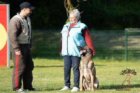 Dsc Solo Boy De La Vall E Du Grand Loup Fabien Duplan Flickr