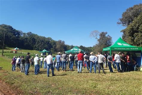 ATEG Dia de Campo reúne produtores de leite e ovinos de corte em