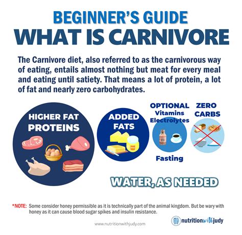 The Nutritionist’s Guide To The Carnivore Diet A Beginner’s Guide By Nutrition With Judy Medium