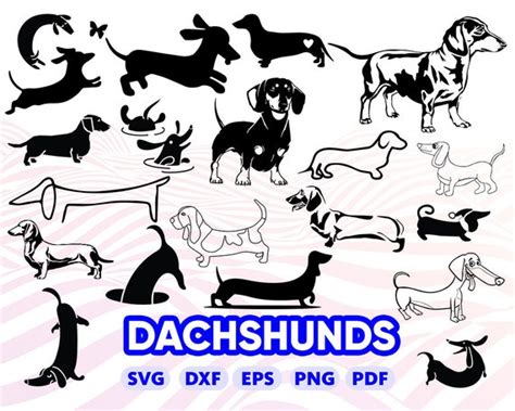 Svg Free Dachshund Svg 247 Svg File Cut Cricut