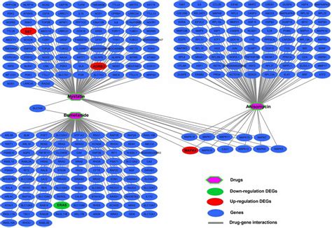 Drug Gene Interaction Networks Of The Three Targeted Drugs For