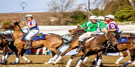 Polocrosse Rules: How to Play, Basic Rules - Sportsmatik