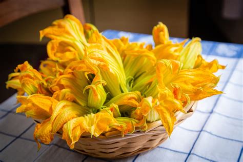 Come Conservare I Fiori Di Zucca Ohga