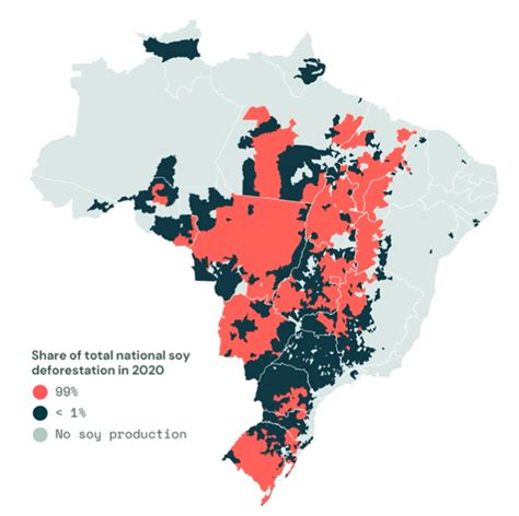 Los datos pueden hacer que la normativa de la UE sobre deforestación