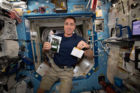 Astronaut Chris Cassidy Holds A Parmigiana Di Melanzane Me Flickr