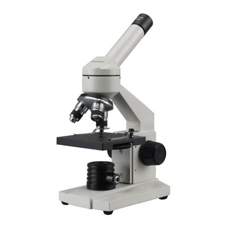 Partes Del Microscopio Significado Funciones Uso Y M S