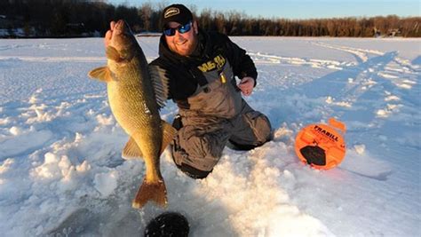 Pin By Tom Gronwall On Fishing Fish And Fish Stuff Walleye Fishing