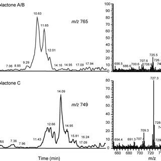 M Ulceransproduced Mycolactone Diffuses In Internal Organs Of