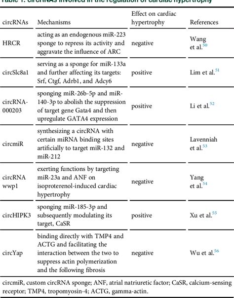 Table 1 From Circular RNAs In The Regulation Of Cardiac Hypertrophy