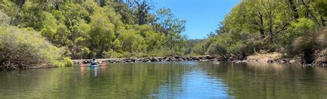 Blackwood River Paddle Great North Road To Few Road Western Australia