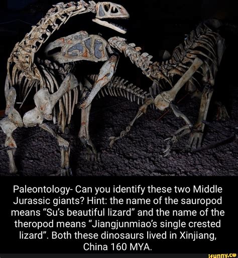 Paleontology Can You Identify These Two Middle Jurassic Giants Hint