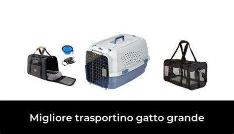 Migliore Trasportino Gatto Grande Nel Dopo Ore Di Ricerca