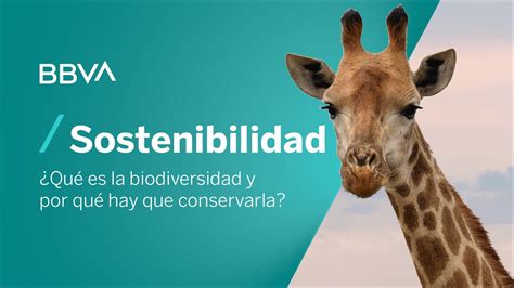 ¿qué Es La Biodiversidad Y Por Qué Hay Que Conservarla Píldoras De