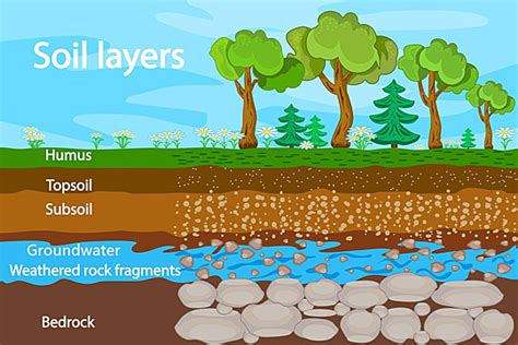 Soil Layers Diagram For Layer Of Soil Science Ground Natural Vector