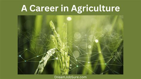 2023 A Career In Agriculture Dream Job Sure