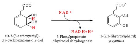 Eawag Bbd Reaction Reacid R0436