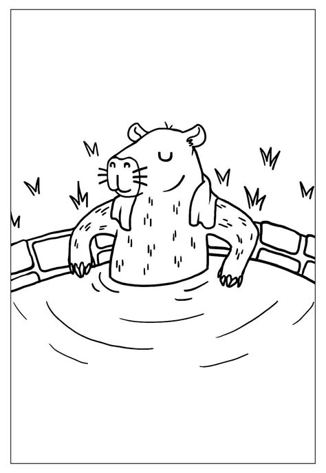 Desenhos De Capivara Para Colorir E Imprimir Tudo Para Colorir