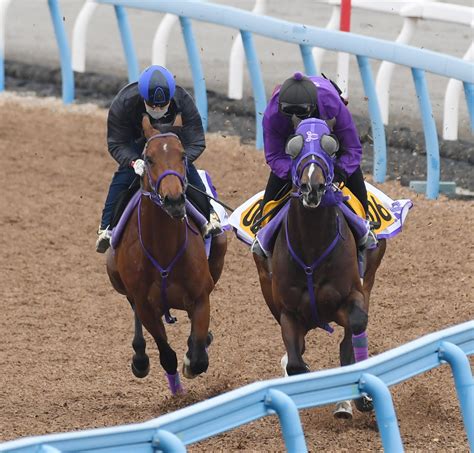 オーサムストローク手応え残して併入、4カ月ぶりも「休み明けは関係ないです」伊藤圭師／nzt 3歳馬特集 競馬写真ニュース 日刊スポーツ