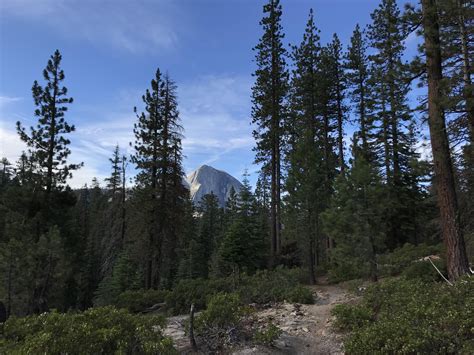 Half dome on our morning walk from the campsite in Yosemite #camping #hiking #outdoors #tent # ...