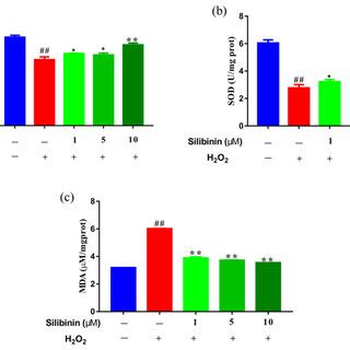 The Effects Of Silibinin On Redox State In H 2 O 2 Exposed SH SY5Y