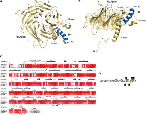 Structural Basis For The Recognition Of Histone H By The Histone