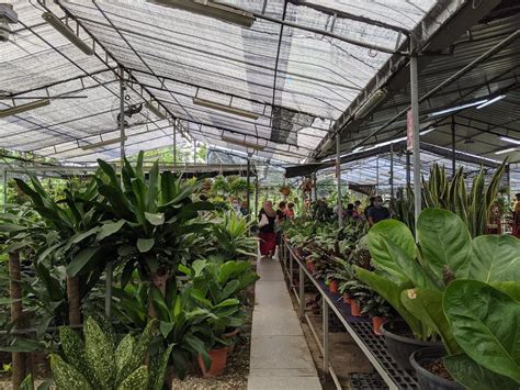 15 Best Plant Shops In Singapore For Starting Your Indoor Garden