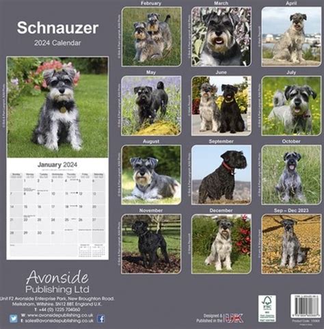 Schnauzer Kalender 2024 Bol