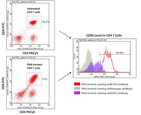 Flow Cytometry Kits For Immunology Life Science Research Milliporesigma