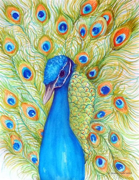 Peacock original painting watercolor Bird by SharonFosterArt Original Watercolors, Original ...