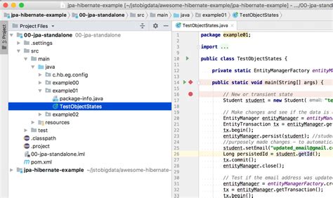 Different Entity States In Jpa Adavanced Jpa Tutorial Jstobigdata