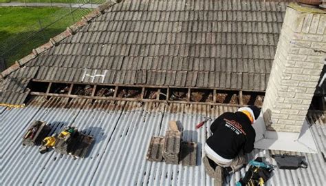 Top 5 Signs Your Roof Needs Immediate Attention Roof Repair Services