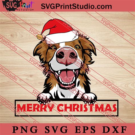 Animal Dog Border Collie Merry Christmas Svg Merry Xmas Christmas