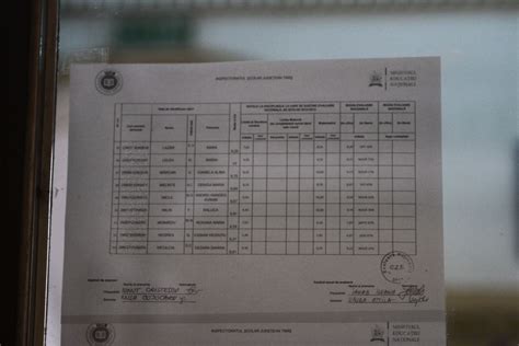 S Au Afisat Rezultatele La Evaluarea Nationala In Timisoara Vezi