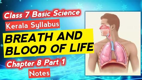 Class 7 Basic Science Bs Chapter 8 Breath And Blood Of Life Page104