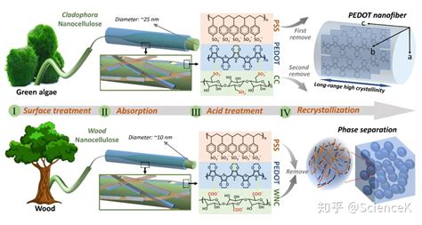 湖南大学汪朝晖团队《afm》：纳米纤维素诱导制备高结晶度pedot纳米纤维 知乎