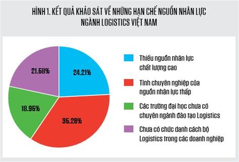 Th C Tr Ng Logistics Vi T Nam Hi N Nay Nh N O V I S Ng