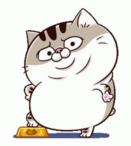 Ami Fat Cat Ami Cat Sticker Ami Fat Cat Ami Cat Fgcat Discover