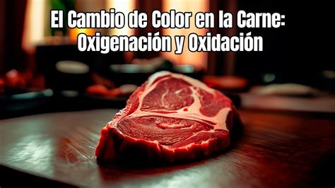 El Cambio de Color en la Carne Oxigenación y Oxidación YouTube