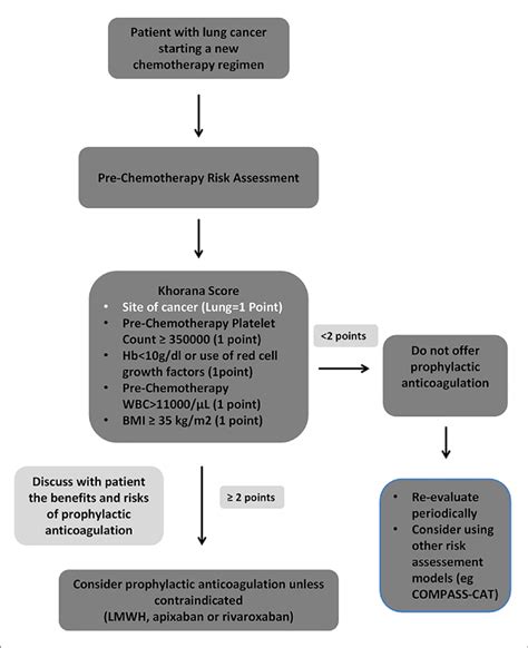 Algorithm Of Prophylactic Anticoagulation In Patients With Lung Cancer