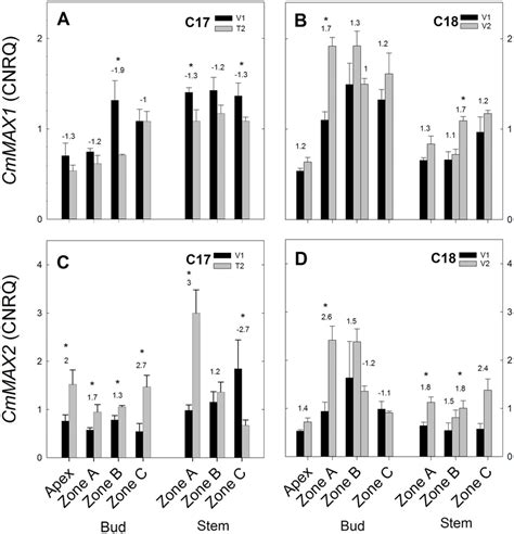 Rt Qpcr Gene Expression Analysis Of Strigolactone Genes For