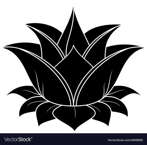 Lotus Flower Royalty Free Vector Image Vectorstock