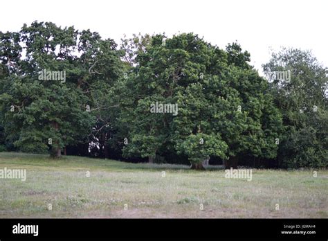 The Great outdoors Stock Photo - Alamy