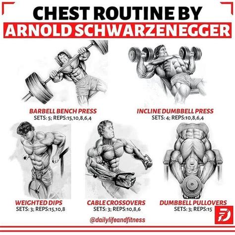 Physique And Strength On Instagram Chest Routine By Arnold