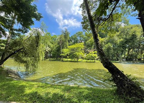 Botanical Gardens Hanoi Explore The Green Lung Of The City