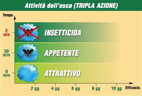 Con Spintor Fly La Mosca Dell Olivo Cade In Trappola Naturalmente